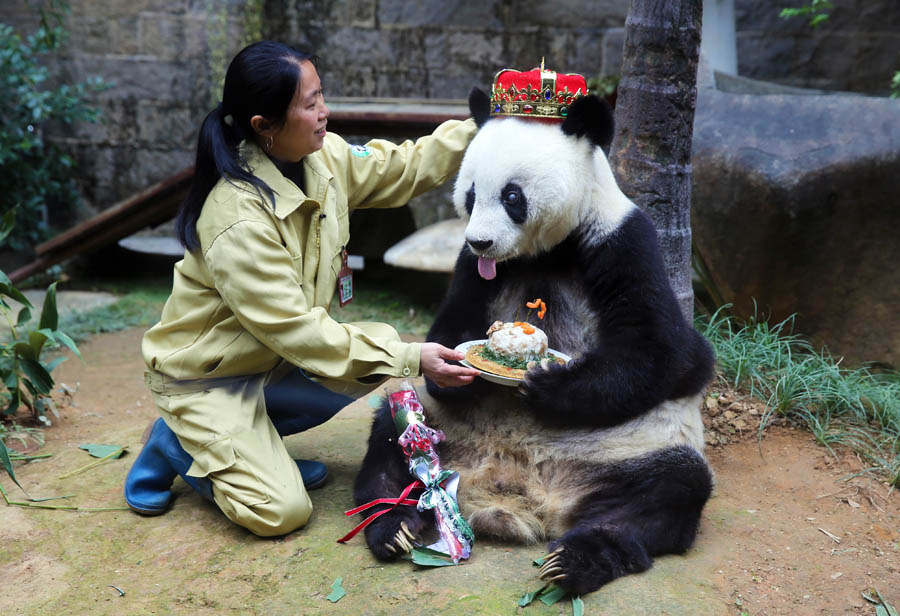 中國日報11月影像回眸:你不能對周圍世界熟視無睹