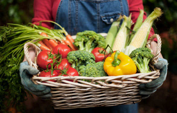 關注氣候變化的“氣候素食”
