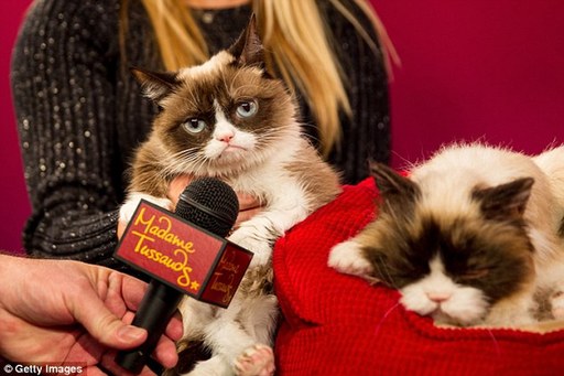 “不爽貓”電子蠟像現身杜莎夫人蠟像館