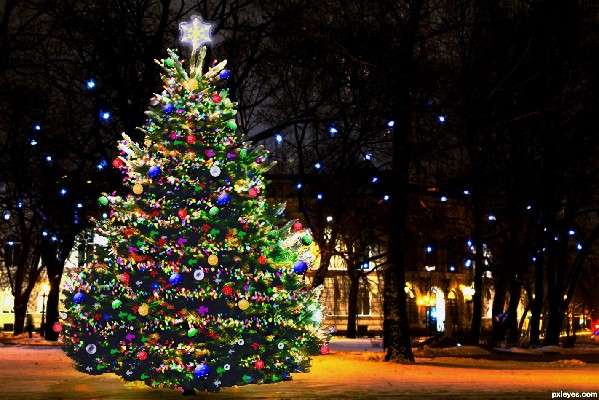 Diana Krall:Christmas time is here