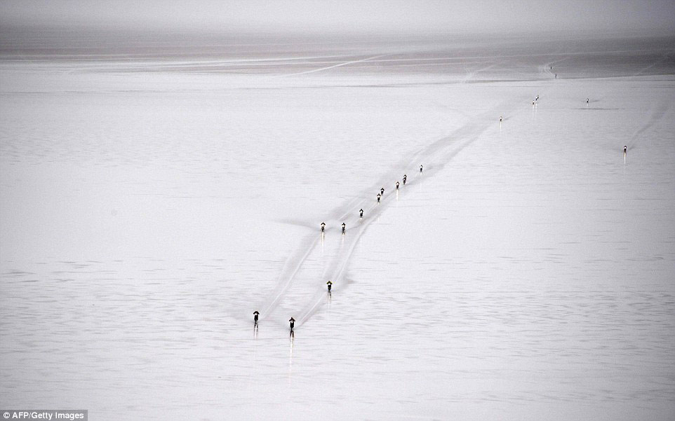 2015最震撼人心的攝影作品