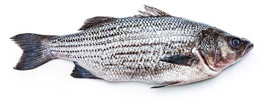 舌尖上的春節(jié):帶來好運的十大過年傳統(tǒng)美食