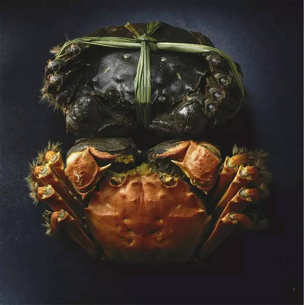 德國人1985年拍攝的《舌尖上的中國》