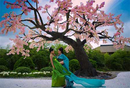 一周熱詞回顧(1.9-1.15)