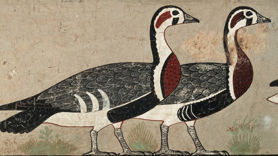 關于埃及的神秘文化你不知道的10件事