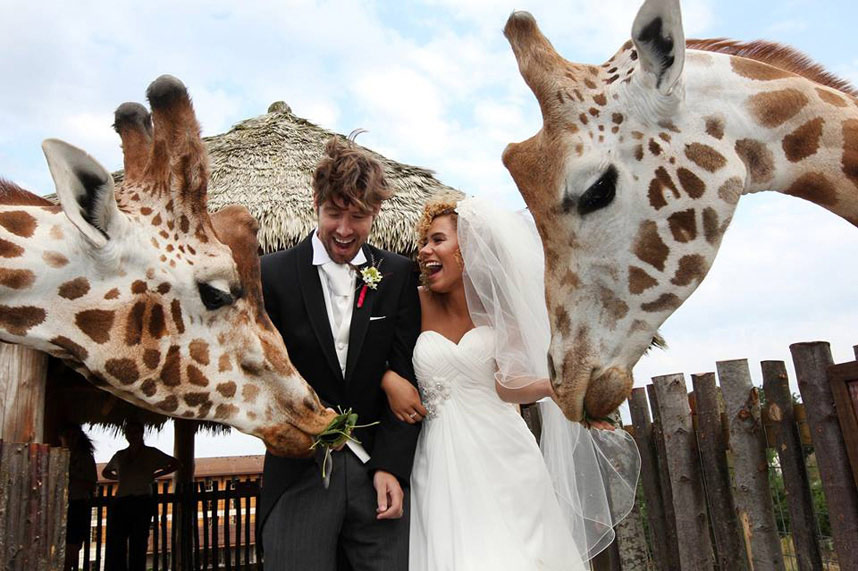 遭動物搶鏡的最佳照片炸彈（組圖）