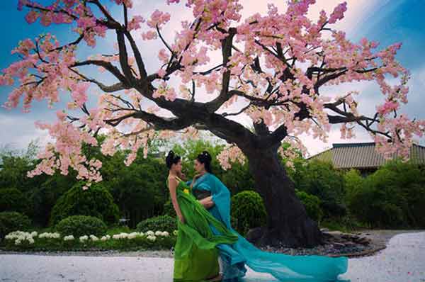 還沒聽說過“IP”？你out了！