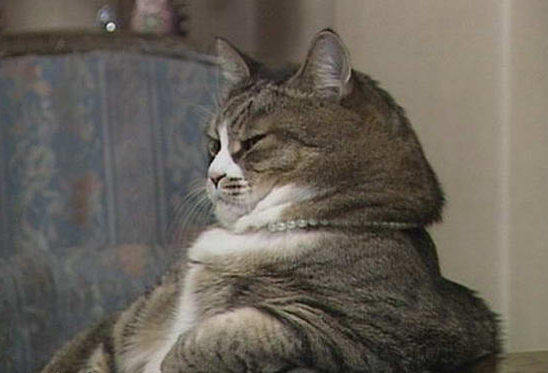 有了這個表，情緒表達不再難