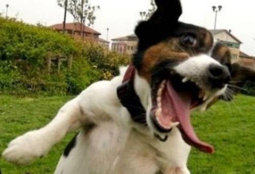 有了這個表，情緒表達不再難