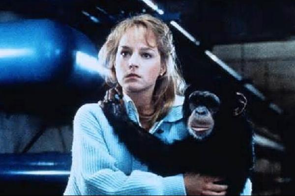 新春大吉:雙語聊猴年