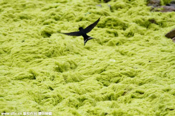 “立春”九大風俗 雞蛋為啥能立起來？