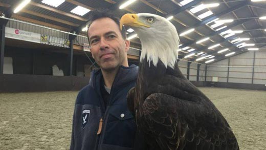 荷蘭警方：老鷹大戰(zhàn)無人機(jī)