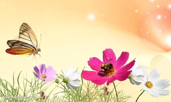 春天，一起來讀詩，雙語的！