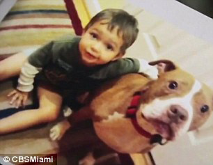 你聽說過“失寵假”嗎?