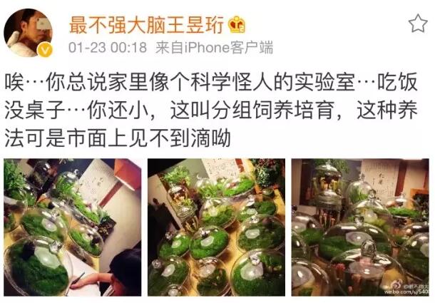 像最強大腦“水哥”這樣的神級人物,要用怎樣的英文詞來形容