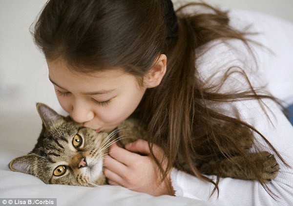 養貓或引發心理健康問題