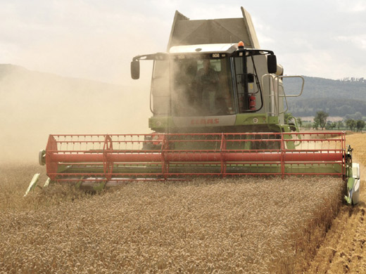 漲知識(shí):13個(gè)讓你看不懂的英文習(xí)語(yǔ)的起源