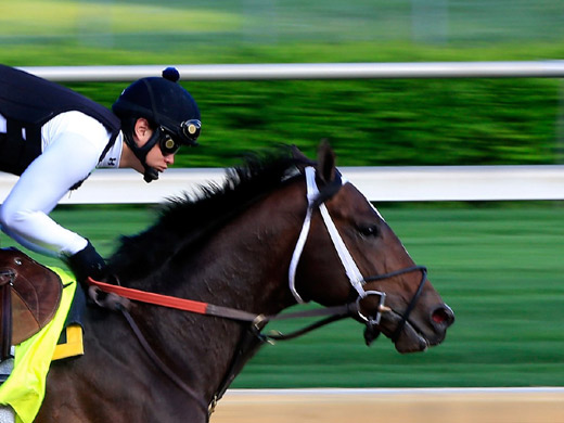 漲知識:13個讓你看不懂的英文習語的起源