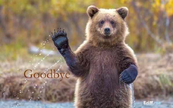 “再見”的各種正式、非正式說法