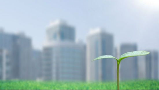 想要打擊城市犯罪?多種樹吧