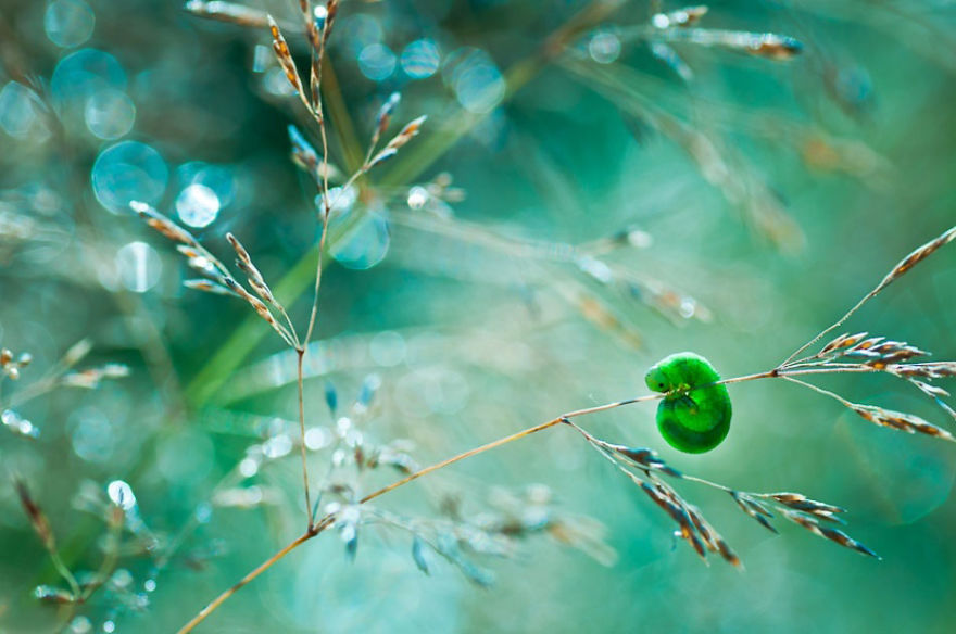 夢幻之美：把大自然拍成仙境（組圖）