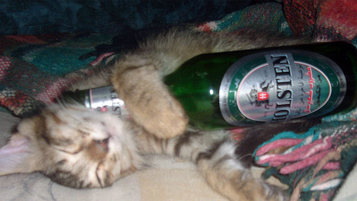 關于睡眠的10大誤解和迷思