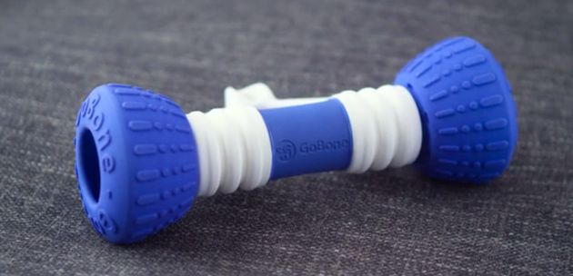 不忍心把寵物狗丟在家中？機器骨頭有妙用