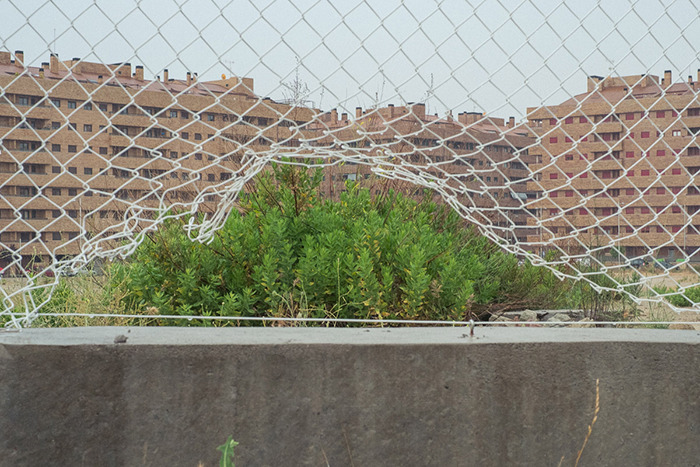 巧合之美：創意攝影作品欣賞（組圖）