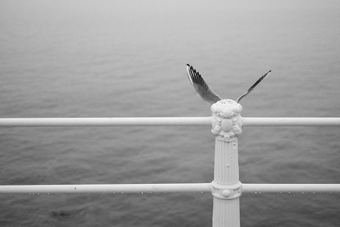 巧合之美：創意攝影作品欣賞（組圖）