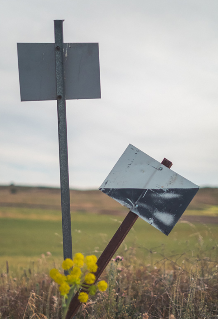 巧合之美：創意攝影作品欣賞（組圖）