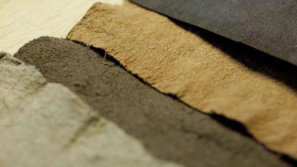 時尚新寵:菠蘿葉做成的皮革