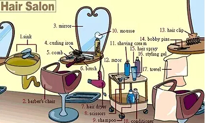 史上最全英語詞匯圖(2)