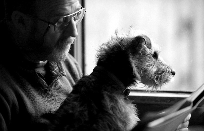 年度狗狗攝影大賽優秀作品日前展出（組圖）