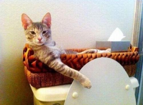 1美元在世界各國可以買到啥?