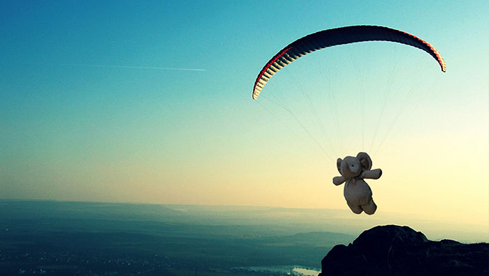 寶貝，你的小象不是丟了，而是去環游世界了（組圖）