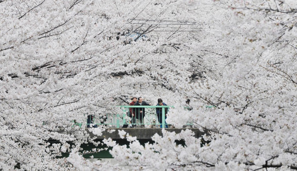 數字游牧民看過來：最適合你工作生活的十個城市