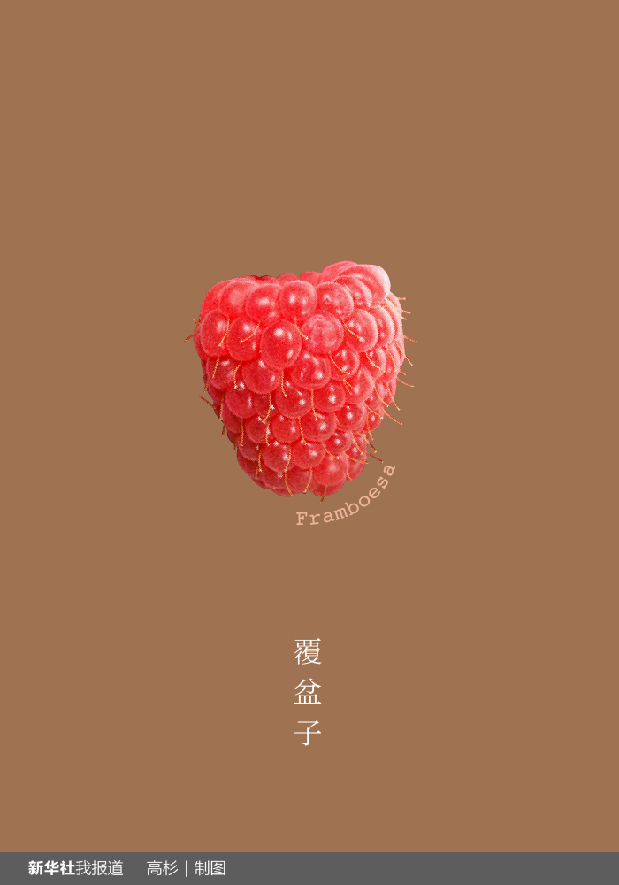 “瘋狂水果城”里約:給你點(diǎn)顏色瞧瞧!