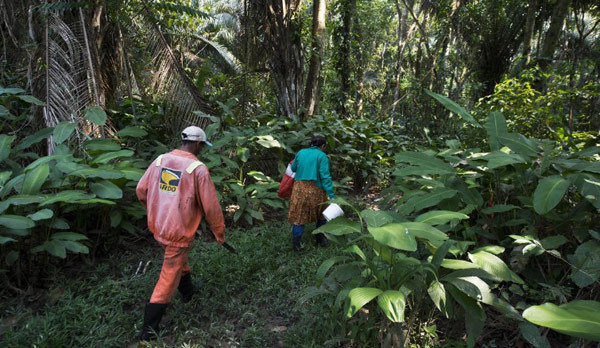 這十項 巴西全球無敵手（組圖）