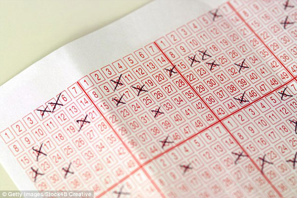 研究:購物帶女性 決策更合理