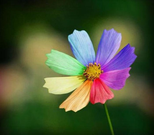 與顏色相關的英語短語和習慣用法