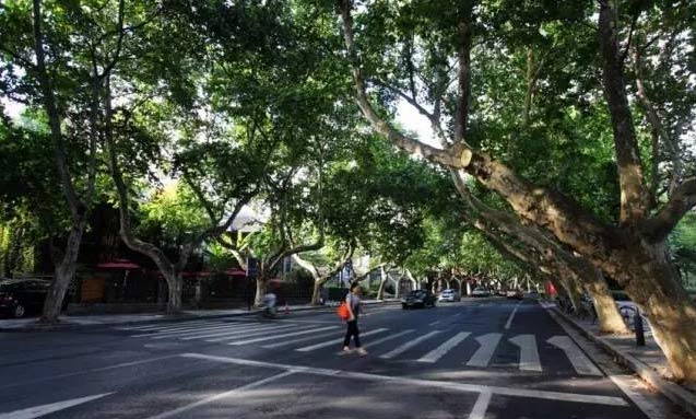 G20峰會杭州將驚呆各國領導人!提前先給你看點私貨……