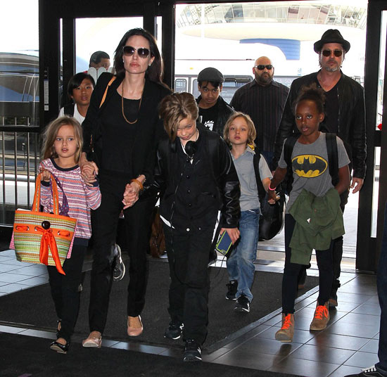 離婚因教育理念不同?傳皮特和法國女星曖昧不清