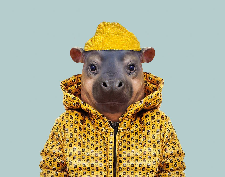 別臭美了：動物穿上衣服比你帥（組圖）