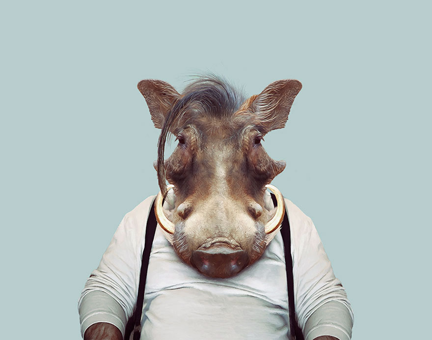 別臭美了：動物穿上衣服比你帥（組圖）