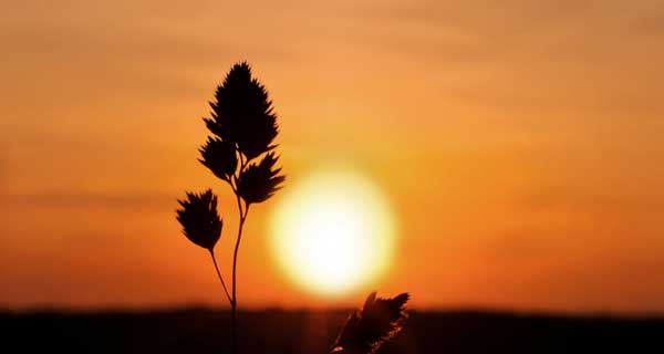 人死的時(shí)候身體會發(fā)生什么變化呢？