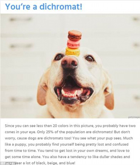 一張圖判別你的識色能力有多強