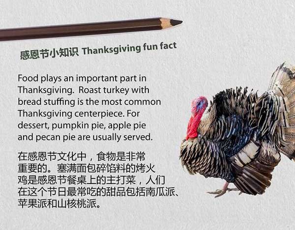 感恩節(jié)學習和“豐收”有關(guān)的知識表達