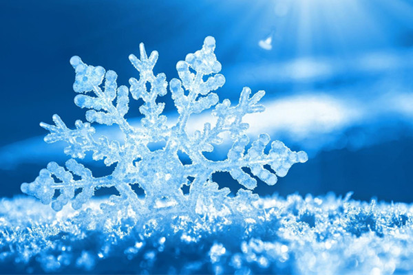 冬天只會(huì)說