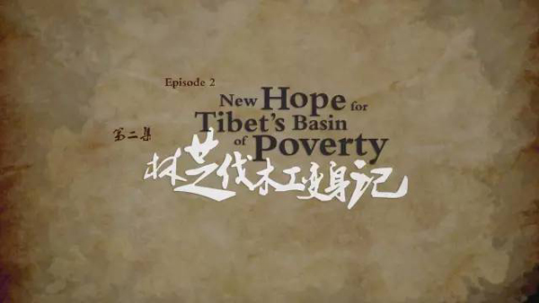 小康之路:他們曾經是伐木人,如今卻成了護林員和藏香廠老板丨解碼中國