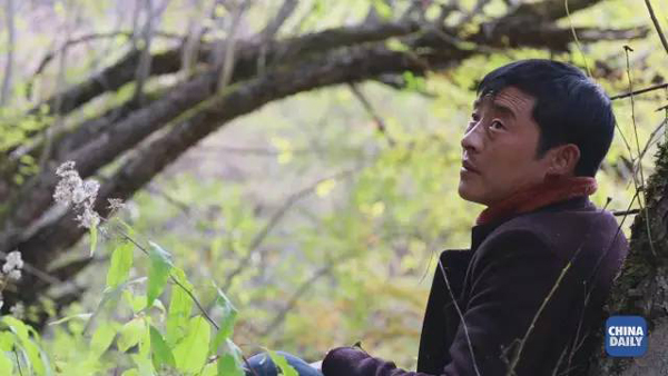 小康之路:他們曾經是伐木人,如今卻成了護林員和藏香廠老板丨解碼中國